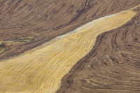 /album/foto-adriano/58a1001-copia-2-jpg/